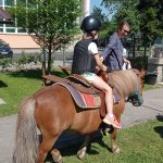 phoca_thumb_m_ponk 86 Fotogalerie